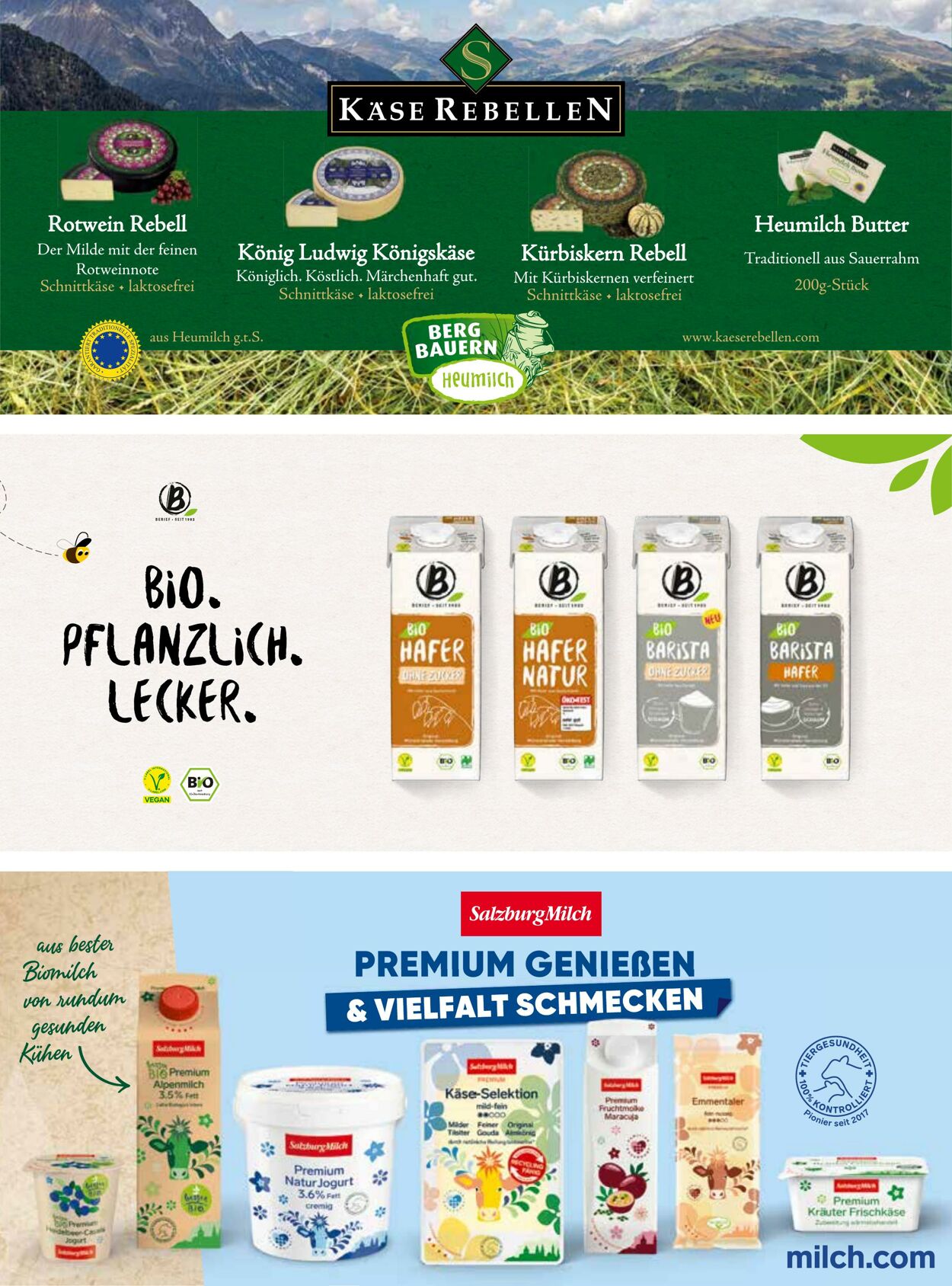 Prospekt V-Markt 01.09.2025 - 15.09.2025