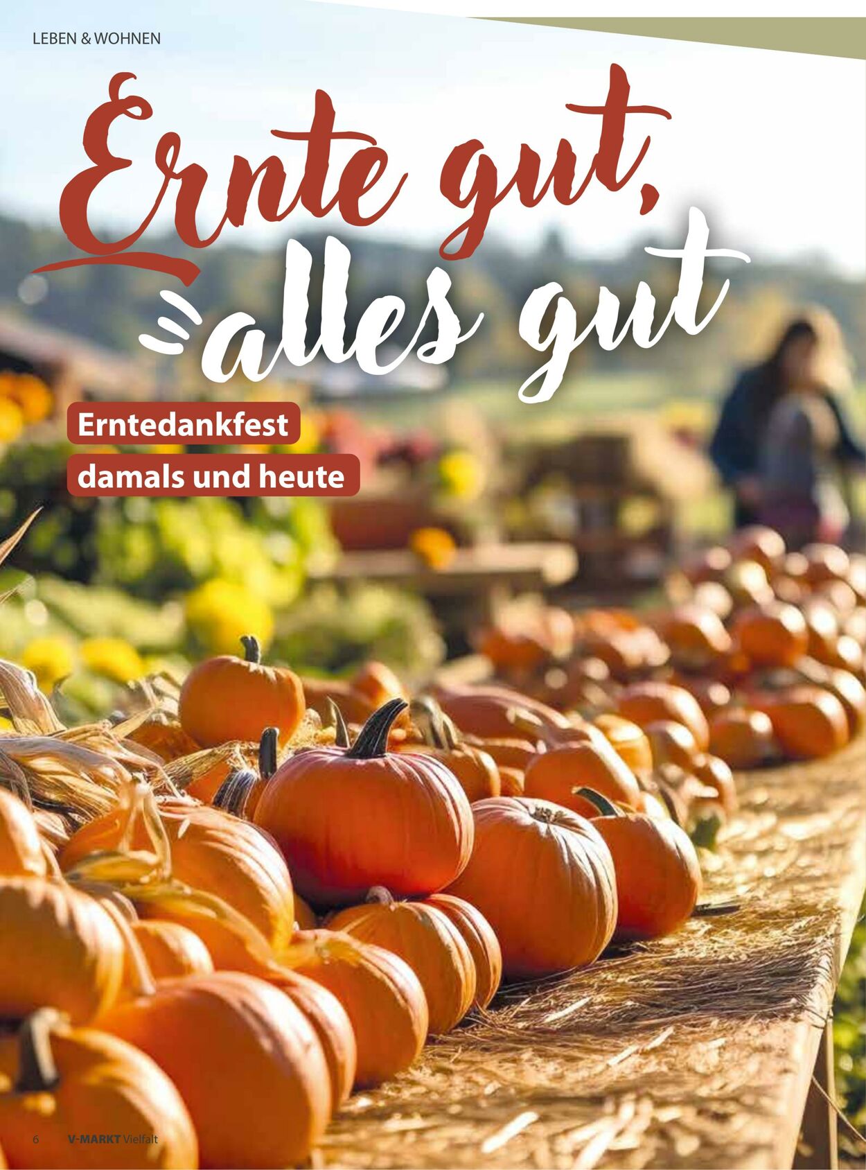Prospekt V-Markt 01.09.2025 - 15.09.2025
