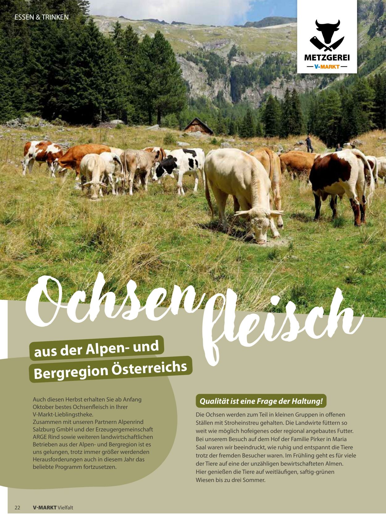 Prospekt V-Markt 01.09.2025 - 15.09.2025