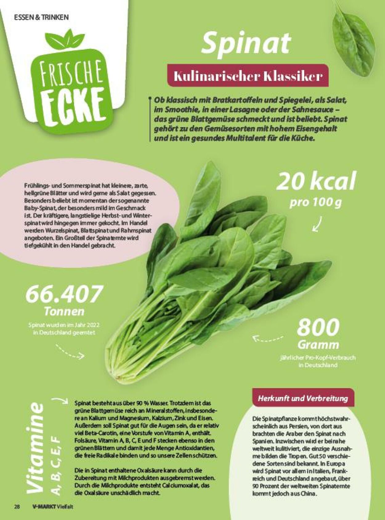 Prospekt V-Markt 02.02.2024 - 29.02.2024