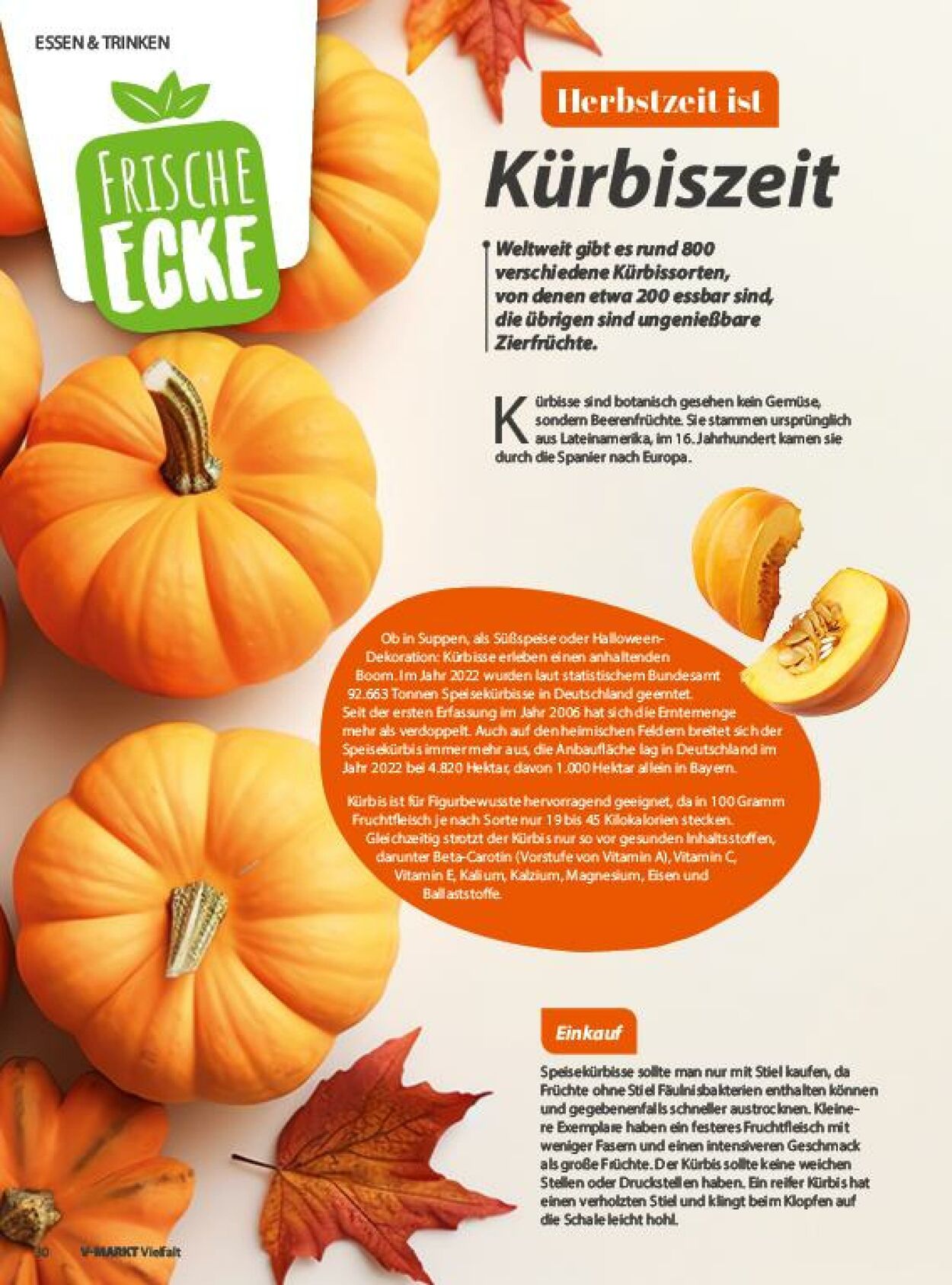 Prospekt V-Markt 02.10.2023 - 30.11.2023