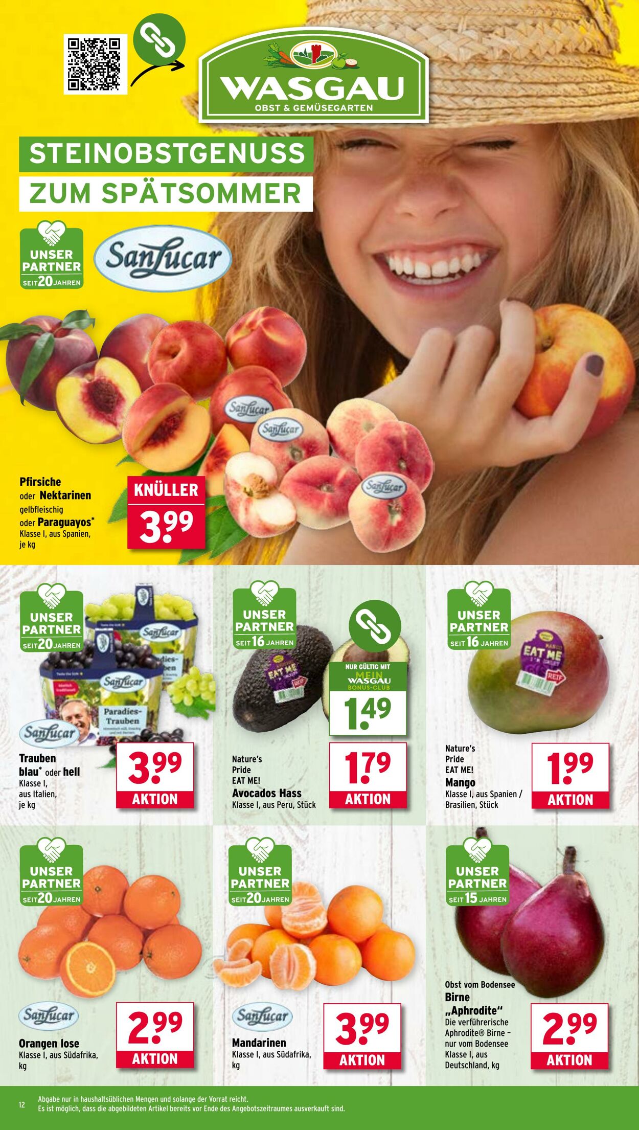 Prospekt Wasgau 08.09.2025 - 13.09.2025