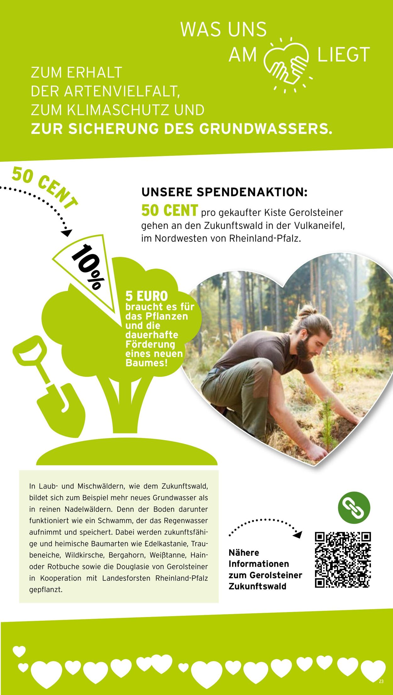 Prospekt Wasgau 29.09.2025 - 04.10.2025