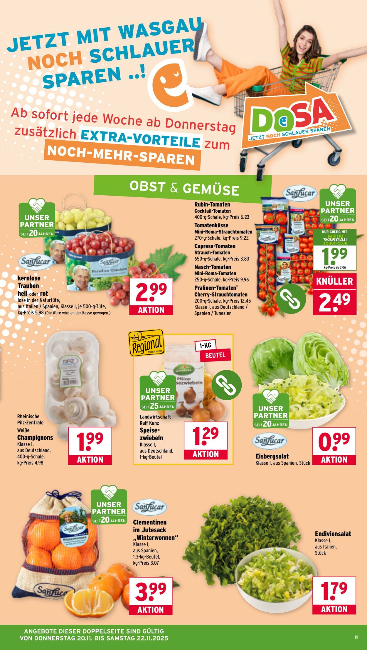 Prospekt Wasgau 17.11.2025 - 22.11.2025