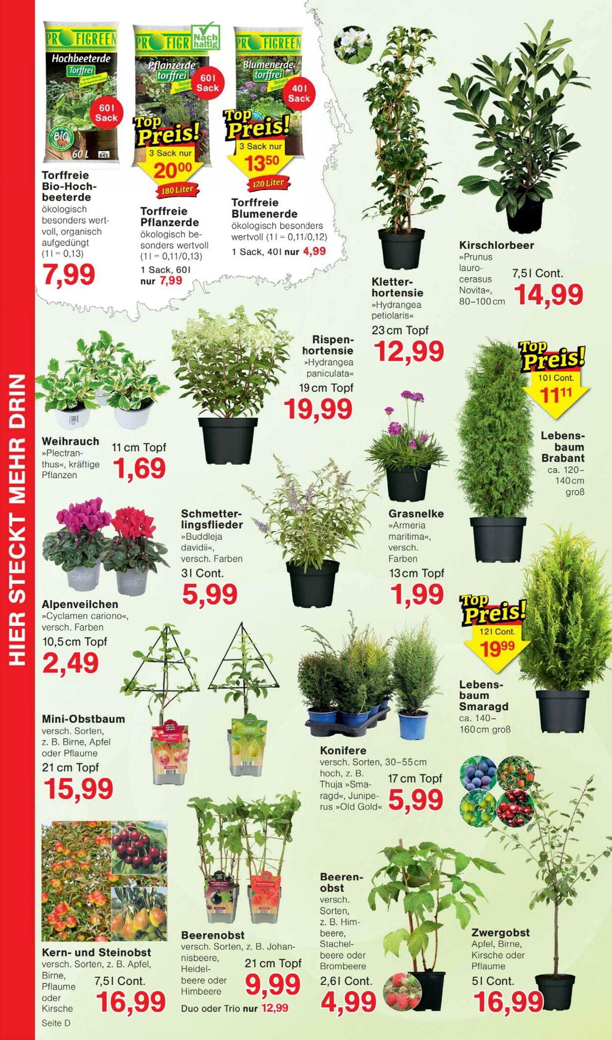 Prospekt Wiglo Wunderland 23.03.2026 - 01.04.2026