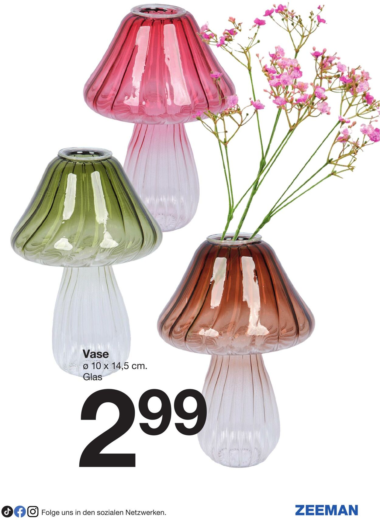 Prospekt Zeeman 01.08.2025 - 15.08.2025