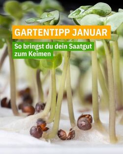 Prospekt ZG Raiffeisen 01.09.2025 - 10.09.2025