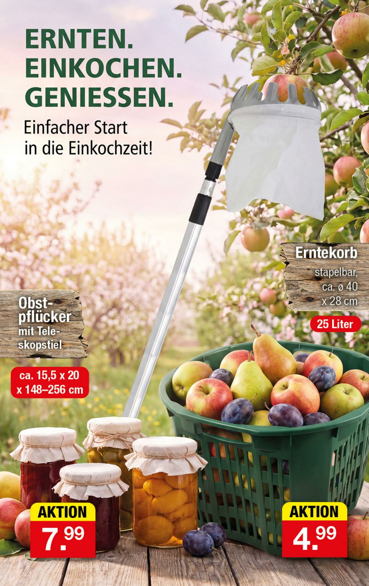 Prospekt Zimmermann 29.06.2026 - 04.07.2026