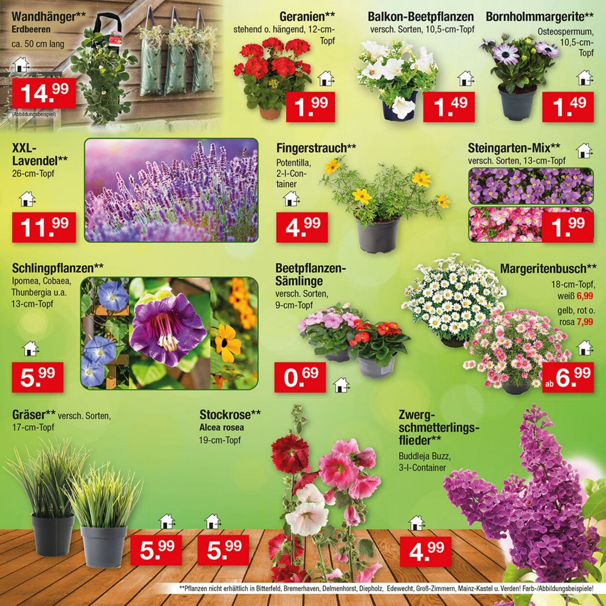 Prospekt Zimmermann 18.05.2026 - 23.05.2026