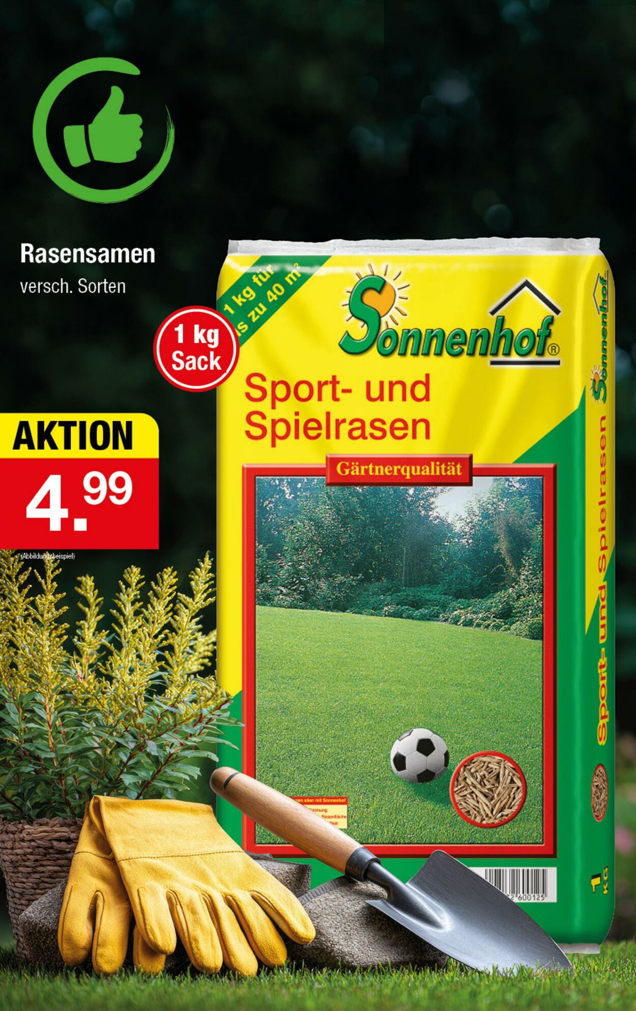 Prospekt Zimmermann 16.02.2026 - 21.02.2026